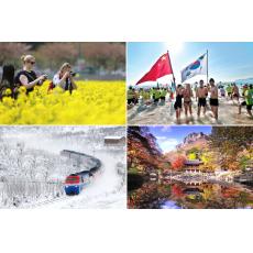 入境韓國需有Arrival Card