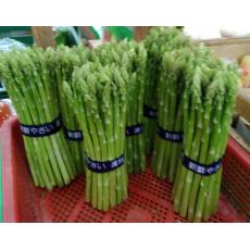 新鮮蘆筍一把一台斤